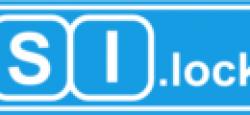 zsi.spb.ru-